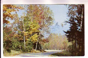 Notch Road, Mount Greylock, North Adams, Berkshires, Massachusetts,