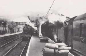 Engine 5384 Weymouth Train 4562 Bridport at Maiden Newton 1959 Railway Postcard