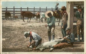 Cowboys Branding Cattle c1910 Detroit Publishing #8764 Unused Postcard