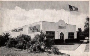 Vintage Florida Postcard Taylor's Tropical Sweets Citrus Candy Factory Davenport