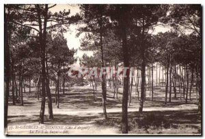 Old Postcard St Georges de Didonne (Silver Cote) La Foret Suzac BR