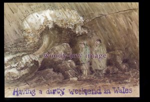 BES119 - Raining - Having a Dirty Weekend in Wales! - comic postcard by Besley