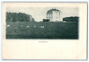 c1905 The Hermitage Building Animal Scene Kongens Lyngby Denmark Postcard