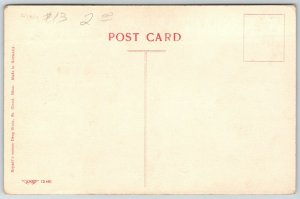 St CLoud Minnesota~Handcolored Carnegie Library~Neighbor's Lean-To Shed c1910 PC