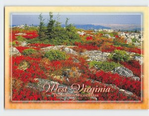 Postcard Dolly Sods Wilderness, West Virginia