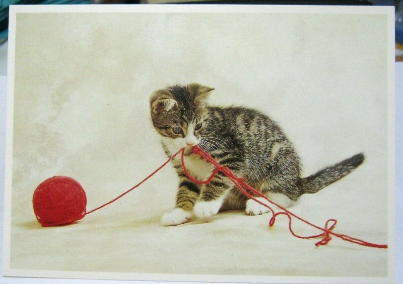 Postcard Cat Kitten Ball of Red wool - unposted