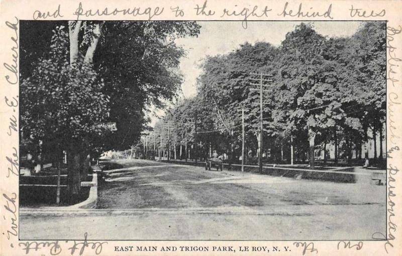 Le Roy New York East Main and Trigon Park Antique Postcard J56023