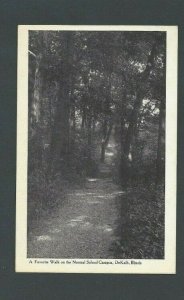 Ca 1908 Post Card Dekalb IL Normal School Campus Walk