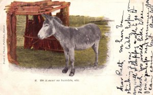 Vintage Postcard 1906 Be It Ever So Humble Gray Donkey Oil Painting Art Frank T.