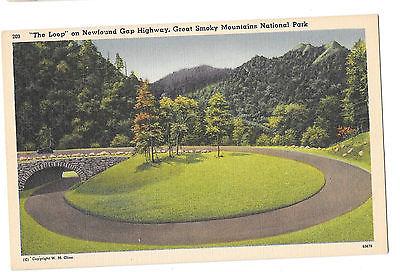 TN Newfound Gap Highway Great Smoky Mountains Natl Park The Loop Postcard