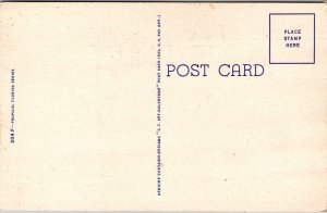 Thin Ice or Pretty Nice, Come Visit Florida Vintage Postcard Q77