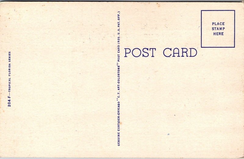 Thin Ice or Pretty Nice, Come Visit Florida Vintage Postcard Q77