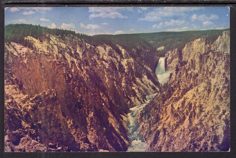 Grand Canyon of the Yellowstone and Lower Falls BIN