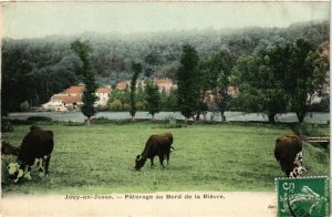 CPA JOUY-en-JOSAS - Paturage au Bord de la Bievre (246764)