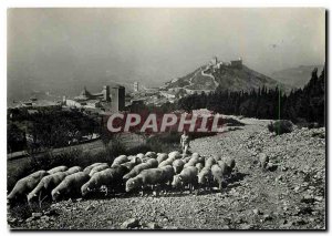 Modern Postcard Partial Assisi panorama view of Mount Subasio Shepherd Sheep