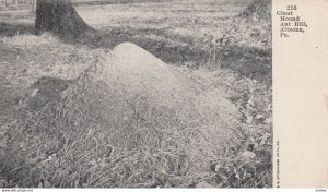 ALTOONA, Pennsylvania, 1900-1910's; Giant Mound Ant Hill