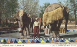 Elephant Show, St. Louis Zoo in St. Louis, Missouri