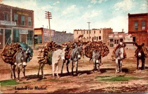 Donkeys Loaded For Market 1920