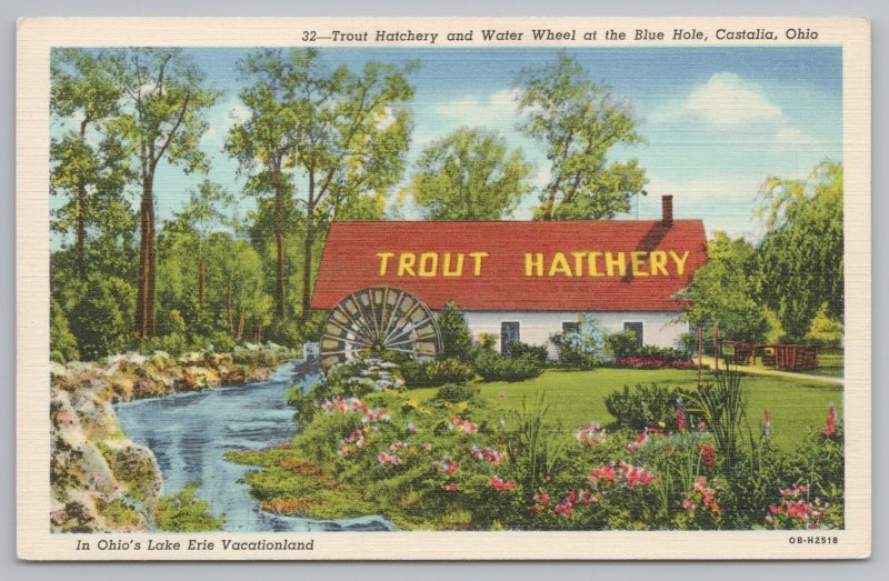 Linen~Trout Hatchery & Water Wheel @ Blue Hole Castalia OH~Vintage Postcard 