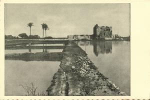 israel palestine, Fish-Breeding Kurdany Haifa-Bay (1930s) Tmunia Postcard 220