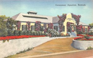 GOVERNMENT AQUARIUM BERMUDA POSTCARD (c. 1940s)