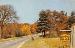 Manistee National Forest  Manistee MI 