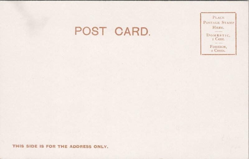 Vernon BC British Columbia General View Unused Smith Bros Postcard H52