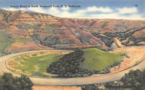 Scenic Road in North Roosevelt Park  Badlands SD 