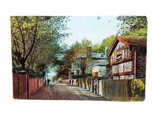 The Avenue Lower Sandgate Road Folkestone Kent Unused Vintage Postcard c1905