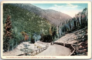 Babbling Brook Along The Side Of The Mohawk Trail Berkshire Hills MA Postcard