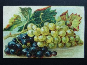 Fruit Berries & Nuts Study BLACK & WHITE GRAPES c1910 Italian Postcard