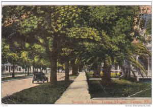 Automobile, Seventh Avenue, Tampa Heights, TAMPA, Florida, 1900-1910s