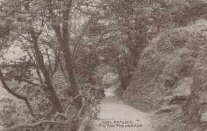 Derbyshire Postcard - Matlock, Pic Tor Promenade    T10512