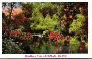 Maine Greetings From Jackman