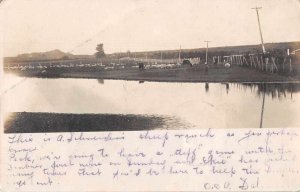 Synder Nebraska ? Sheep Farm Real Photo Vintage Postcard JF686456