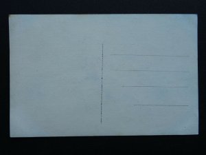 Flower RED & YELLOW ROSE - Old Postcard