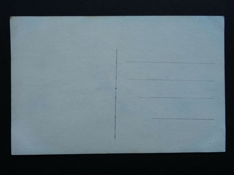 Flower RED & YELLOW ROSE - Old Postcard