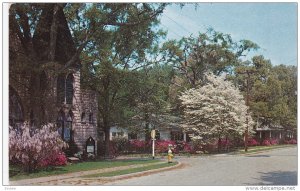 Dukes Street , SUMMERTON , South Carolina , 50-60s