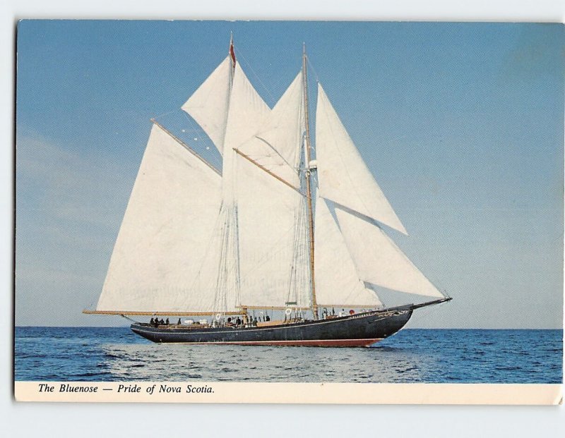 Postcard The Bluenose Pride of Nova Scotia