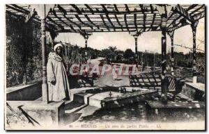 Old Postcard Morocco Meknes A corner of the Public Garden