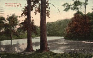 Vintage Postcard 1915 On Ellicott Creek Tonawanda New York Leighton & Valentine