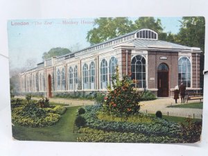 The Monkey House London Zoo Regents Park London Vintage Antique Postcard 1904