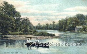 Turpentine Landing - Silver Springs, Florida FL