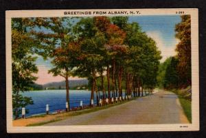 NY Greetings from ALBANY NEW YORK Postcard Linen PC