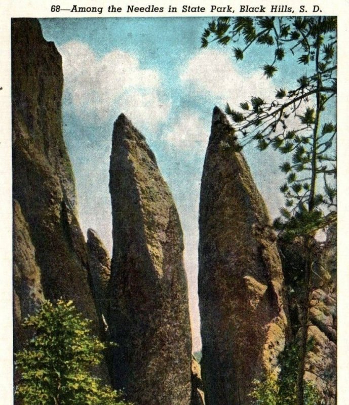 Vintage Postcard Needles Highway Black Hills South Dakota State Park