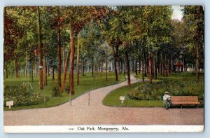 c1920 Oak Park Trees Pathways Man On Bench Montgomery Alabama Vintage Postcard