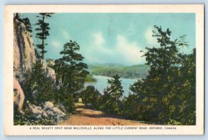 Ontario Canada Postcard Real Beauty Spot Willisville Little Current Road c1952