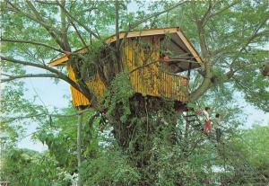 BR5234 A tree House Zamboanga City Philippines