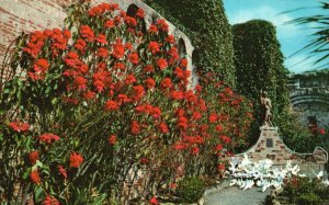 Vintage Postcard Mission San Juan Capistrano Poinsettias Campanario California