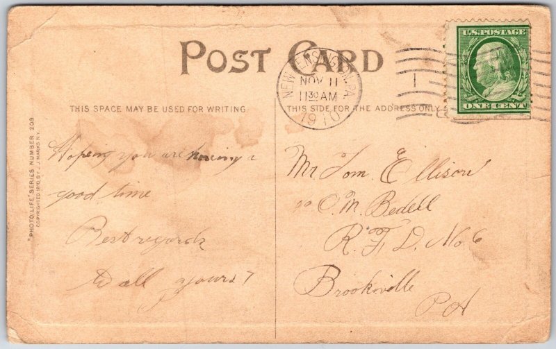 Bank Interest, 1910 Humor Art, Two Women, Picnic near Lake, Vintage Postcard
